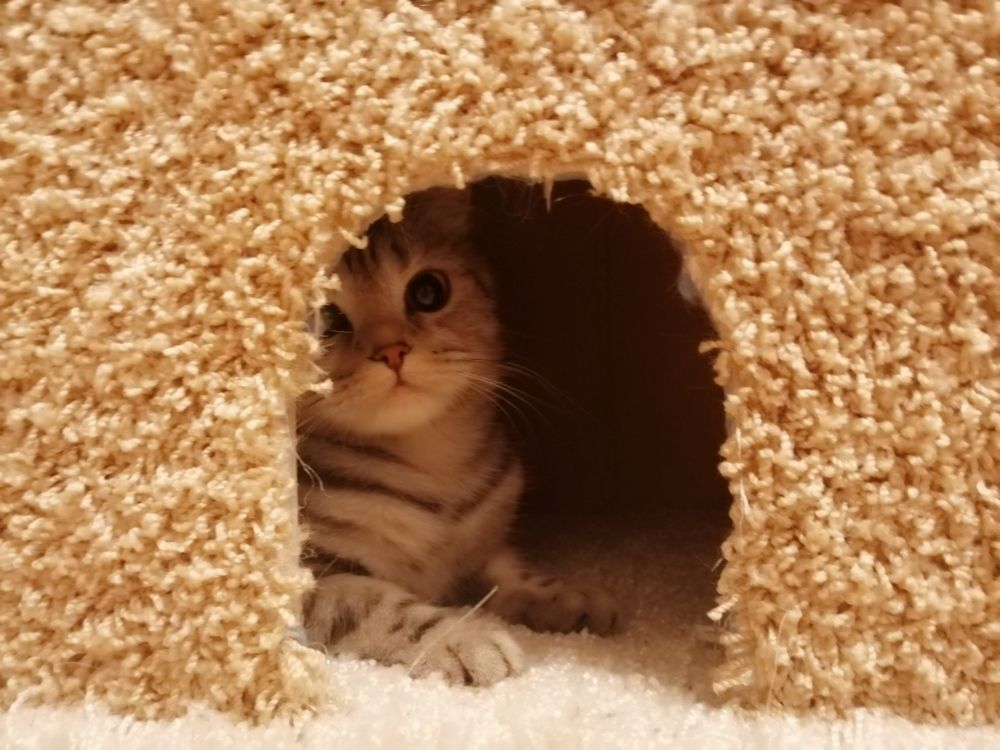 Photograph by Александра Зиновьева