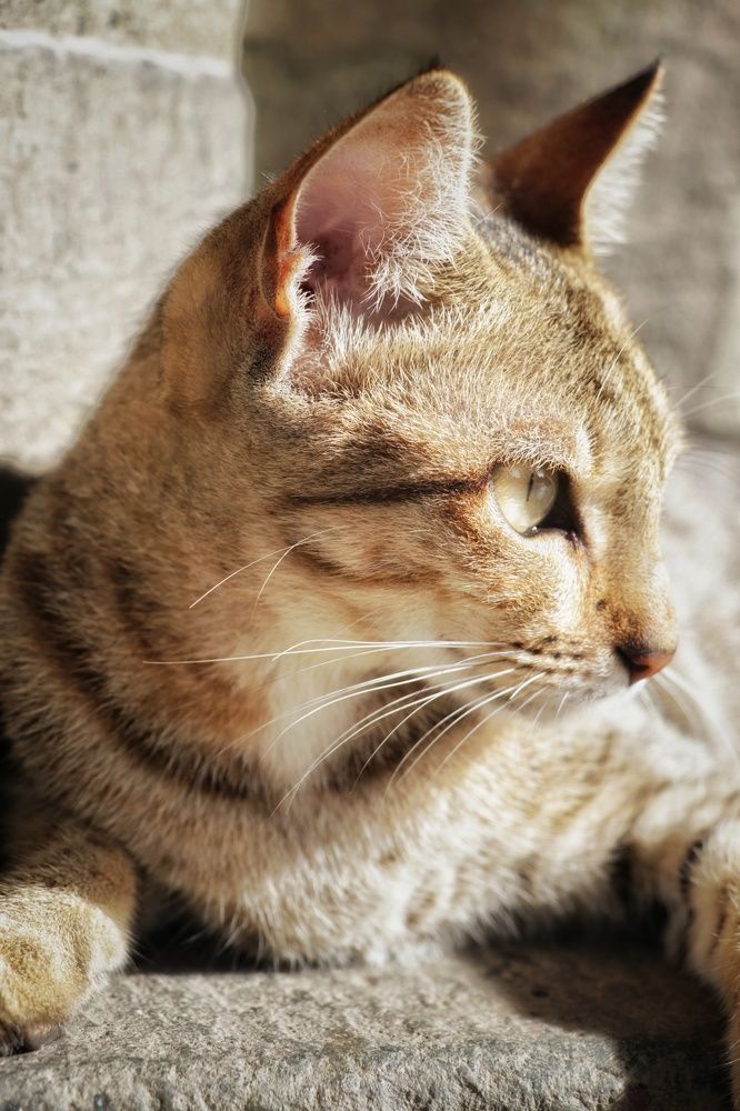 Photograph by Shalaka Ghagare