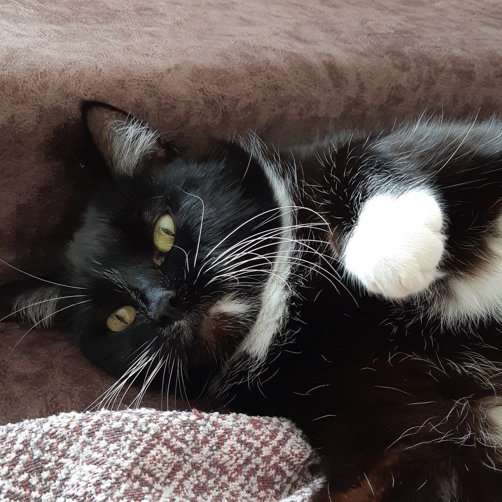 Фотография автора Ирина Лукьянчик