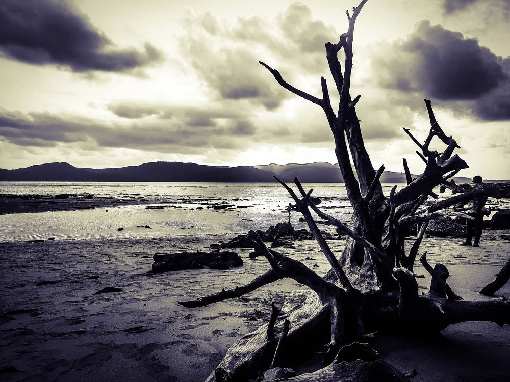 Photograph by Susmita Paul