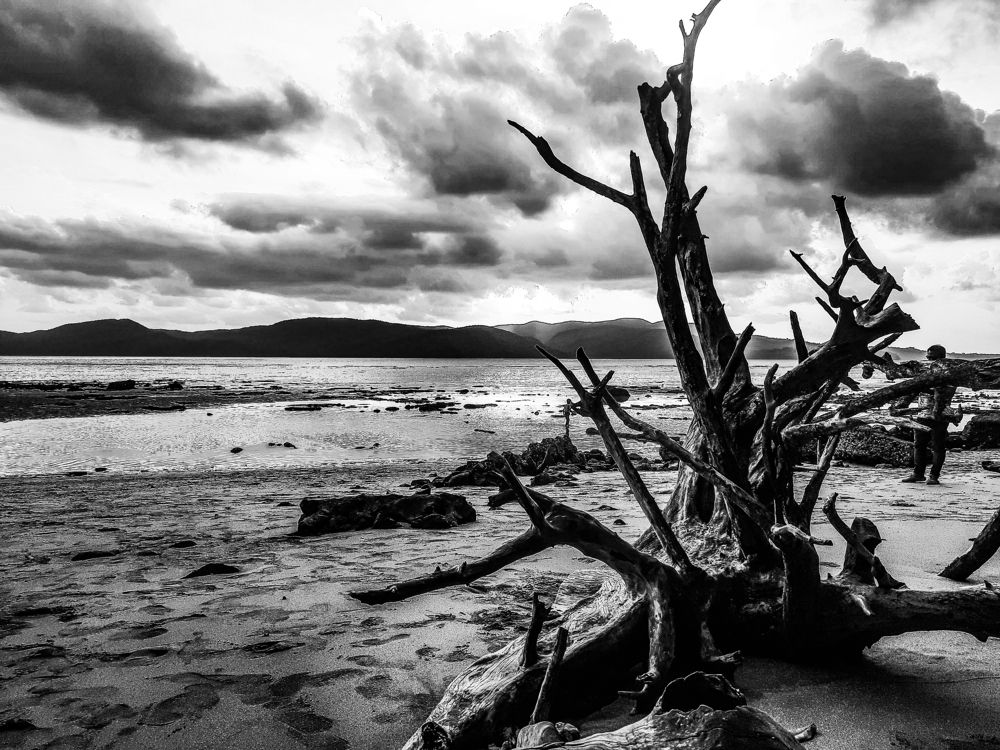 Photograph by Susmita Paul