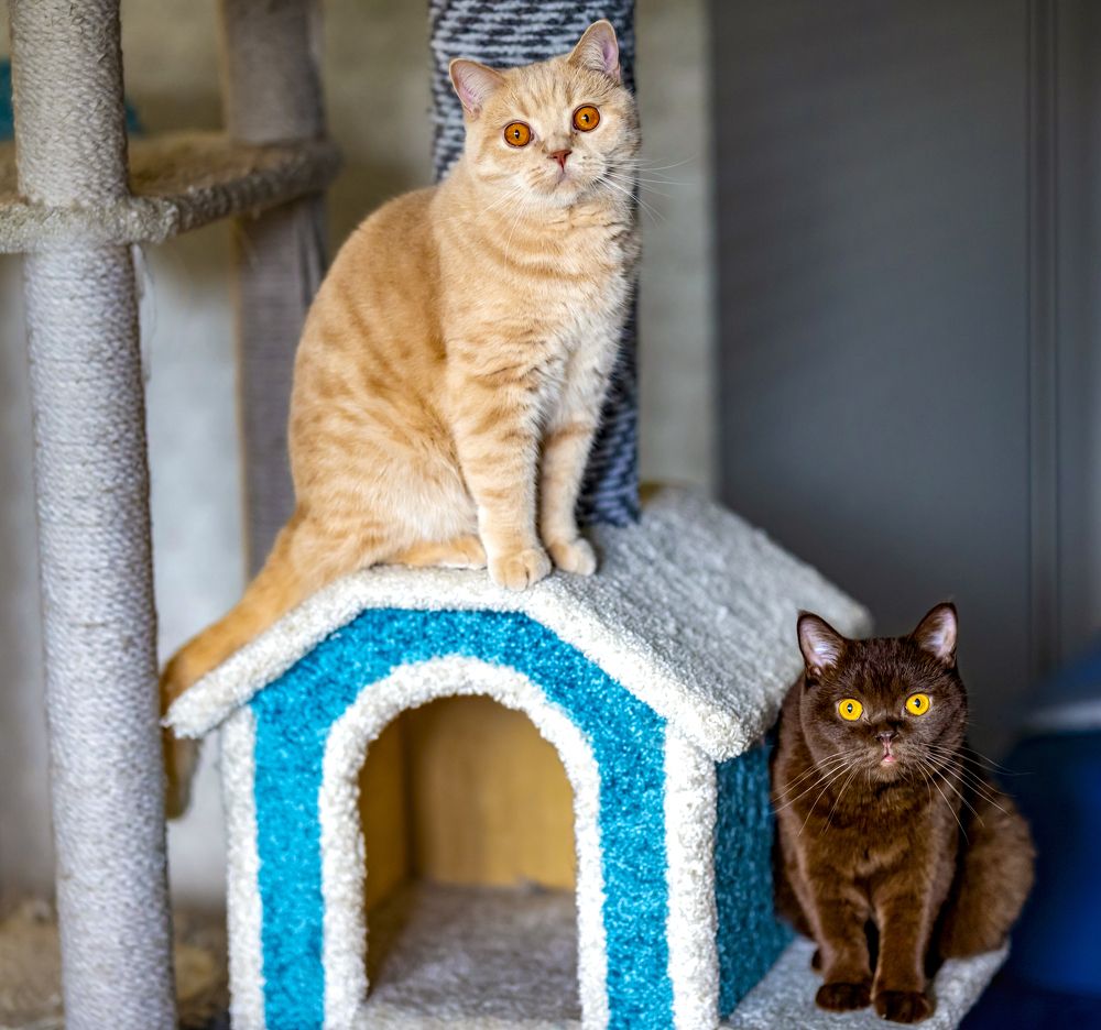 Photograph by Анастасия Малахова