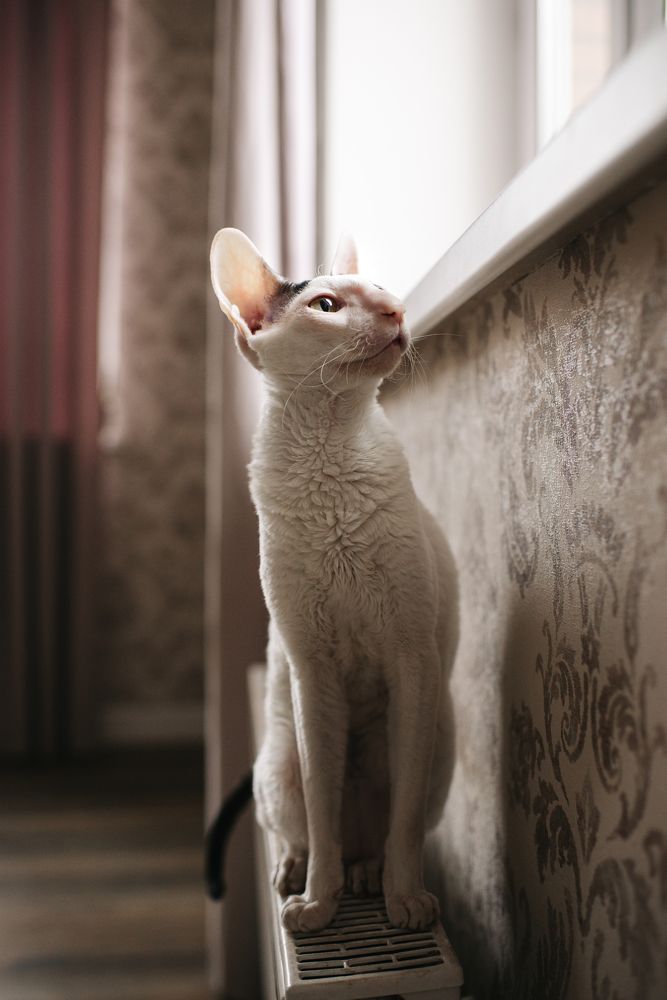 Photograph by Яна Колчанова