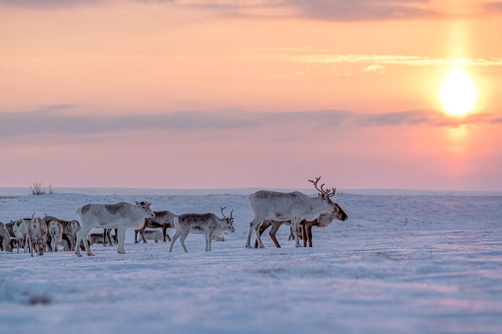 Photograph by Мария Новоселецкая