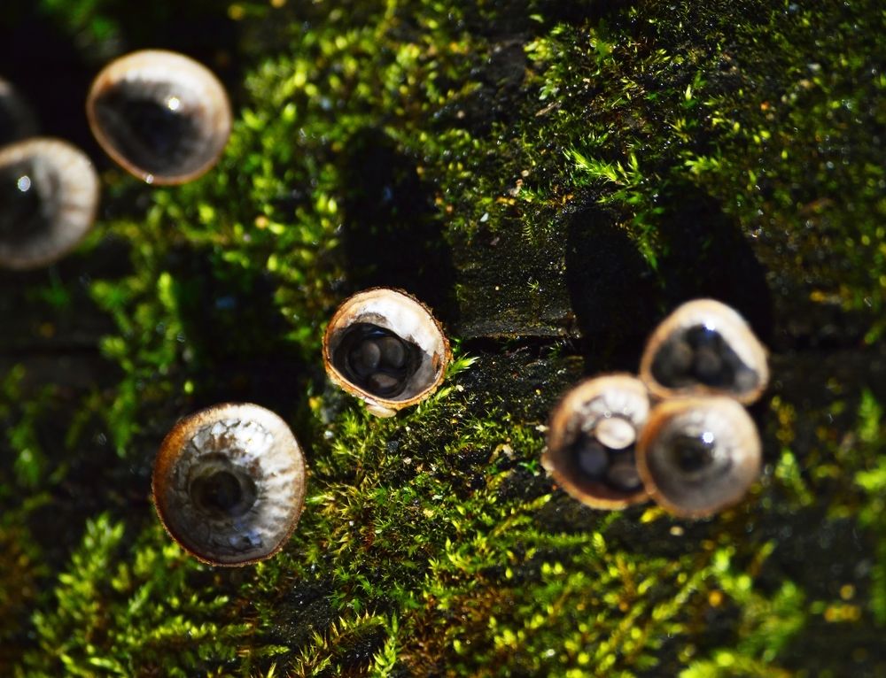 Photograph by Nadezhda