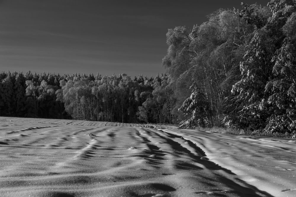Фотография автора Вадим Лабитов