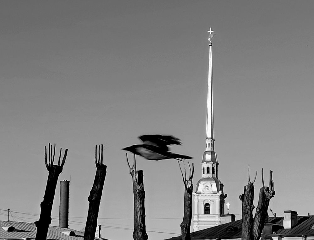 Photograph by Людмила Викулова