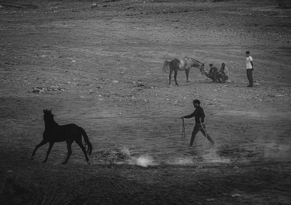 Photograph by wafae koubaa