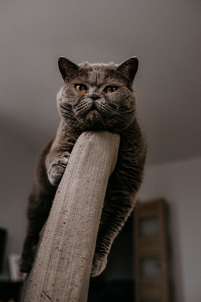 Photograph by Яна Колчанова