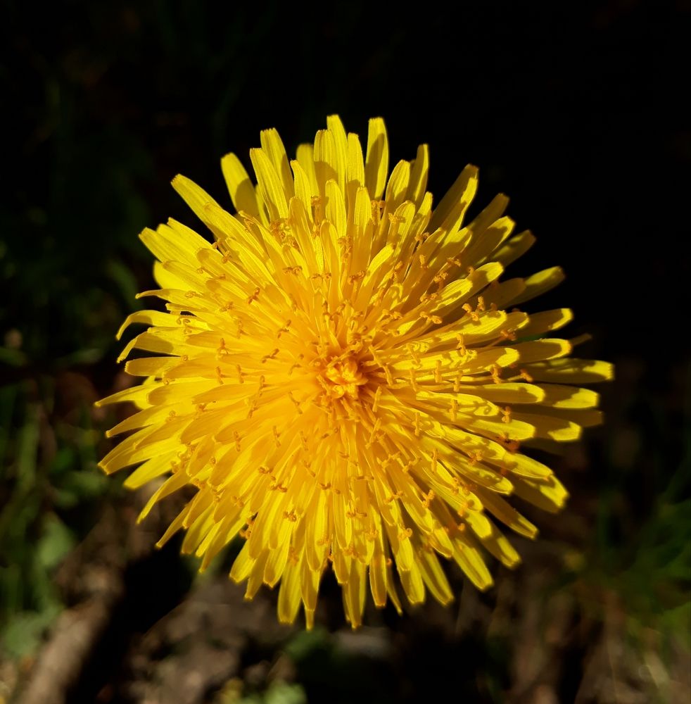 Photograph by Виктория Коваленко