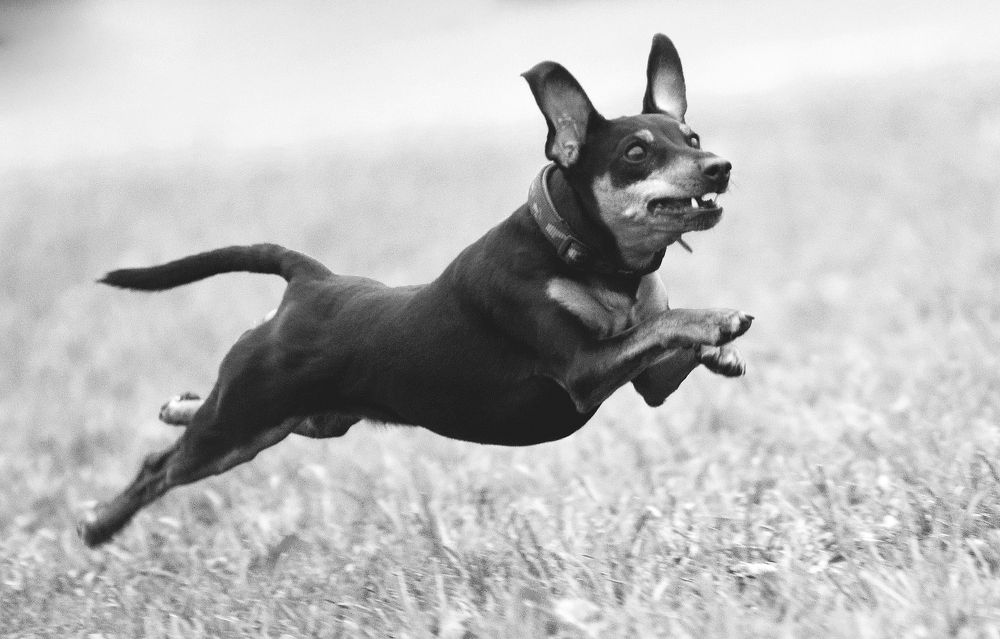 Photograph by Мария Новоселецкая