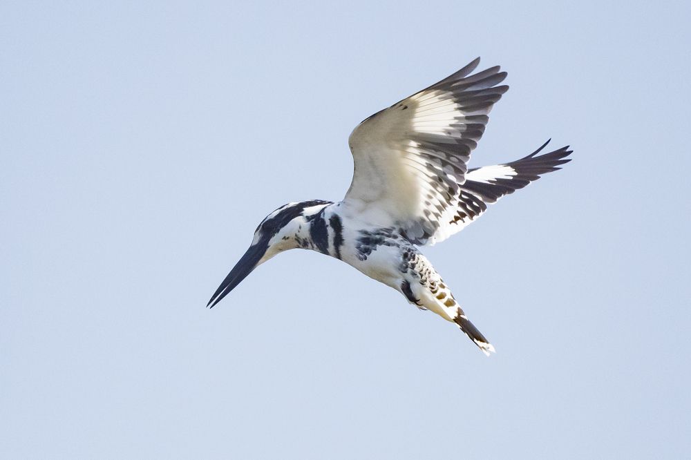 Photograph by Sameer Bhalekar