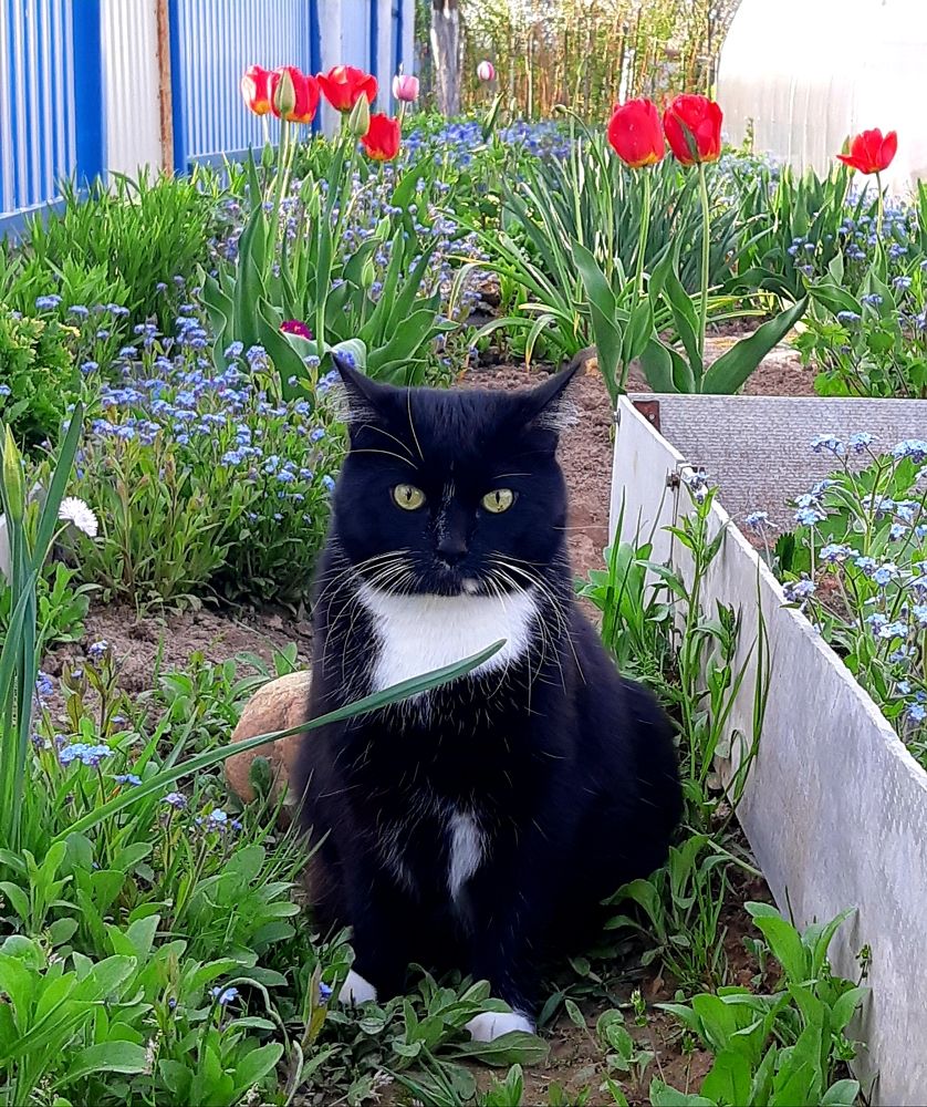 Фотография автора Ирина Лукьянчик