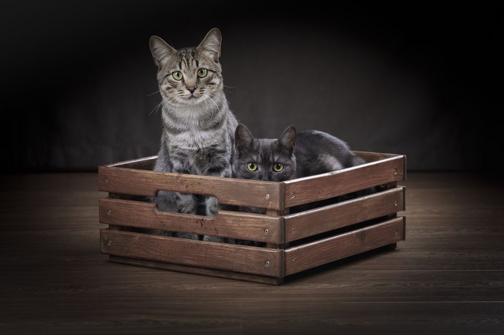 Photograph by Евгений Печенин