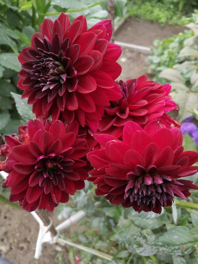 Photograph by Вячеслав Огурцов