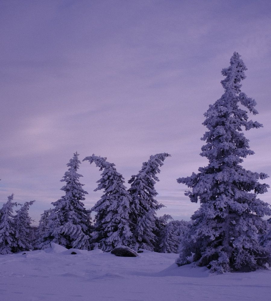 Photograph by Антон Е