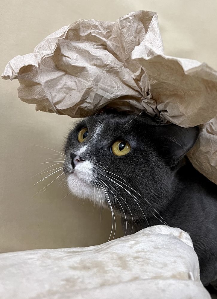 Photograph by Мария Кирсанова