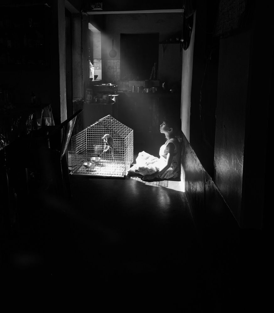 Photograph by Soumyadeep mondal