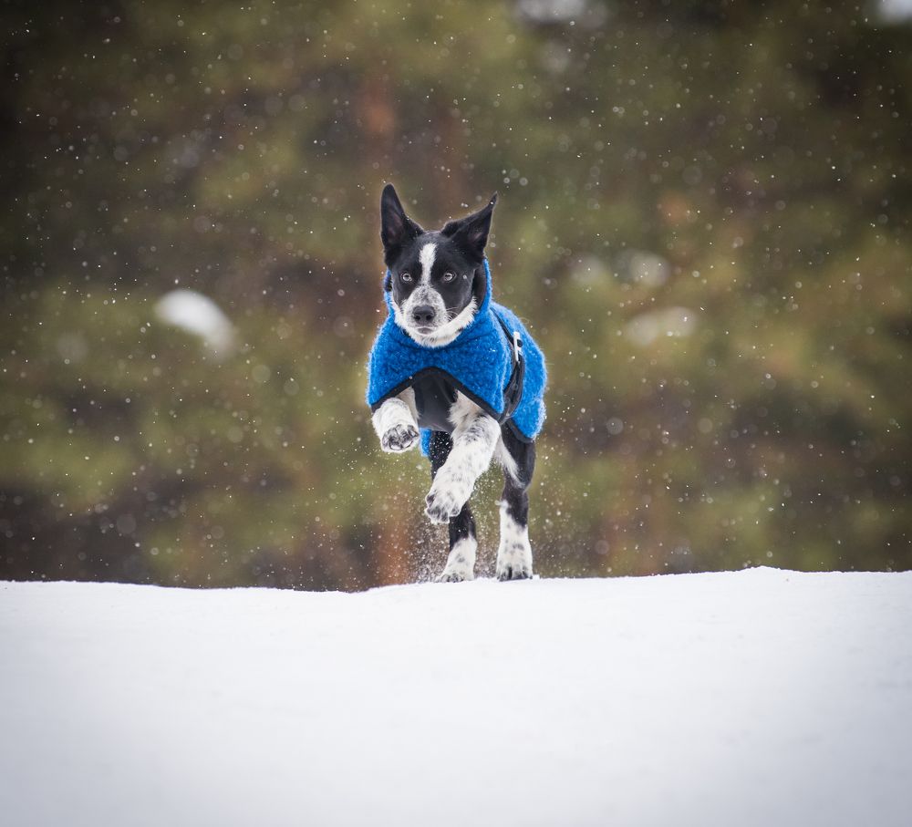 Photograph by Марина Шишкина