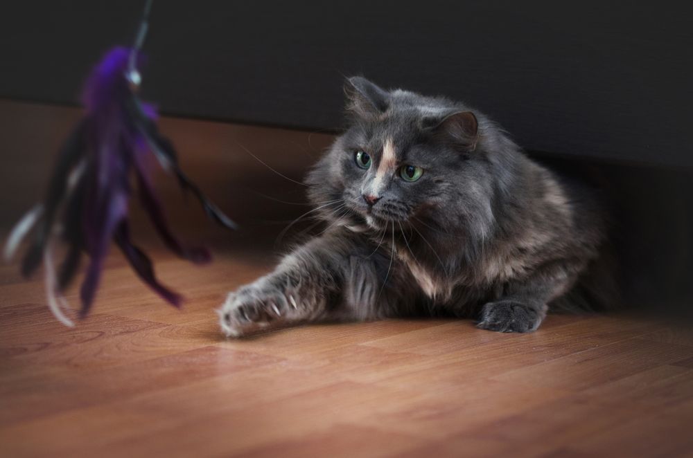 Photograph by Марина Шишкина