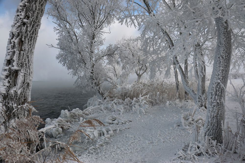 Photograph by Анна Татаренко