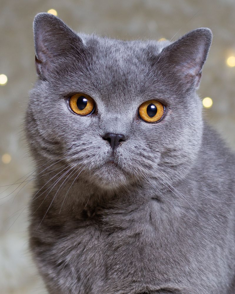 Photograph by Торопов Александр