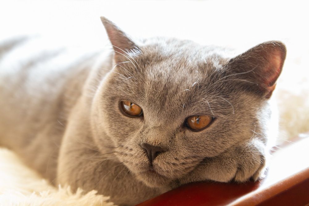 Photograph by Торопов Александр