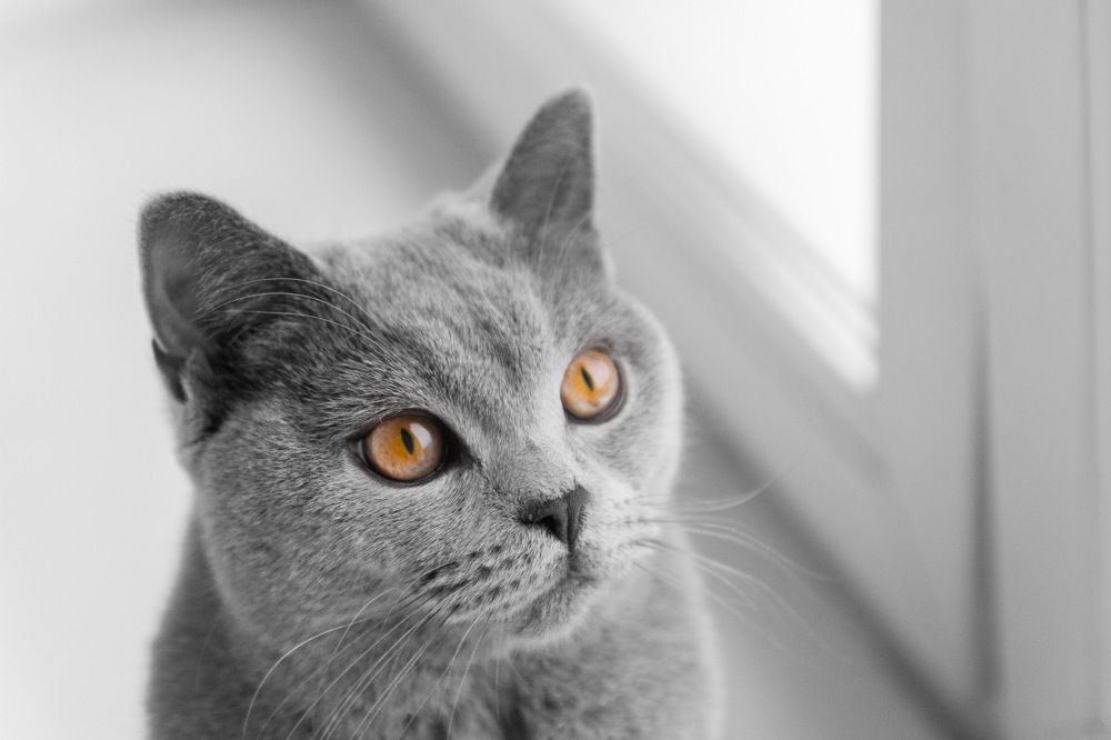 Photograph by Торопов Александр