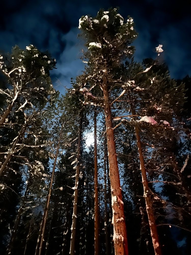 Photograph by Максим Богданов