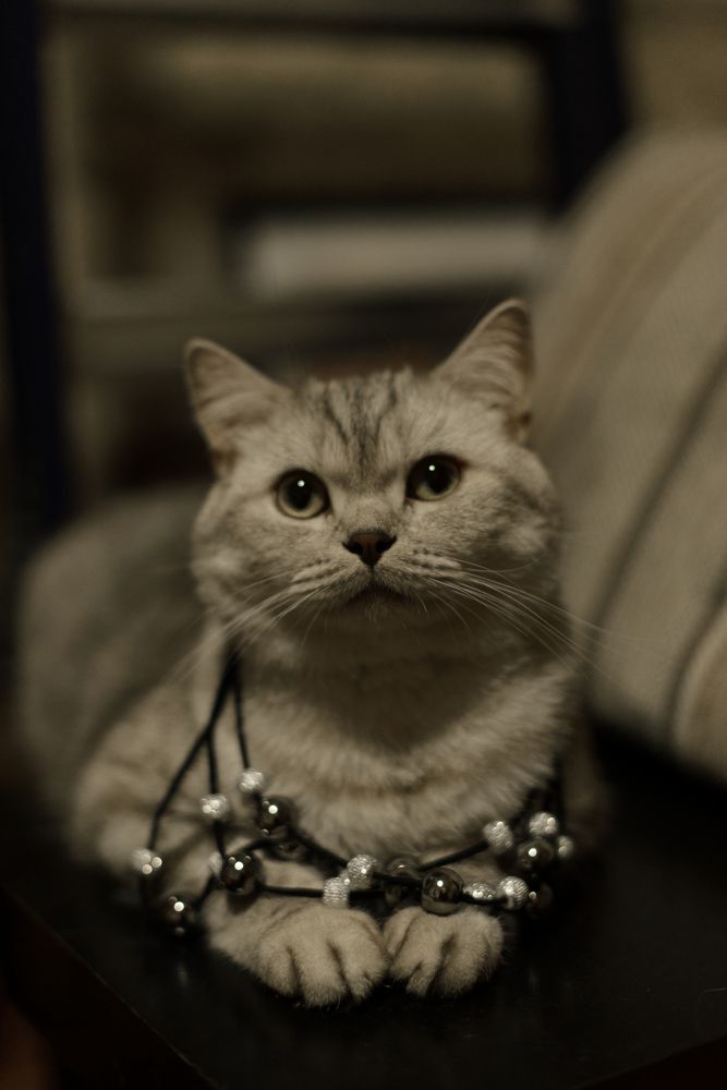 Photograph by Анна Новосельцева