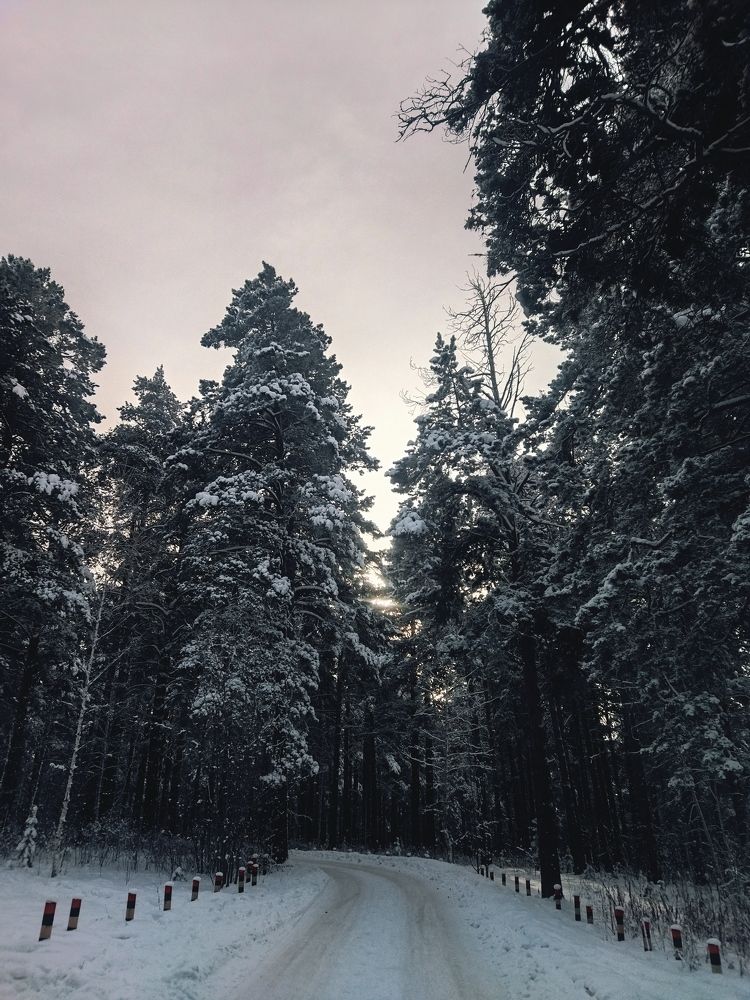 Photo #8666133