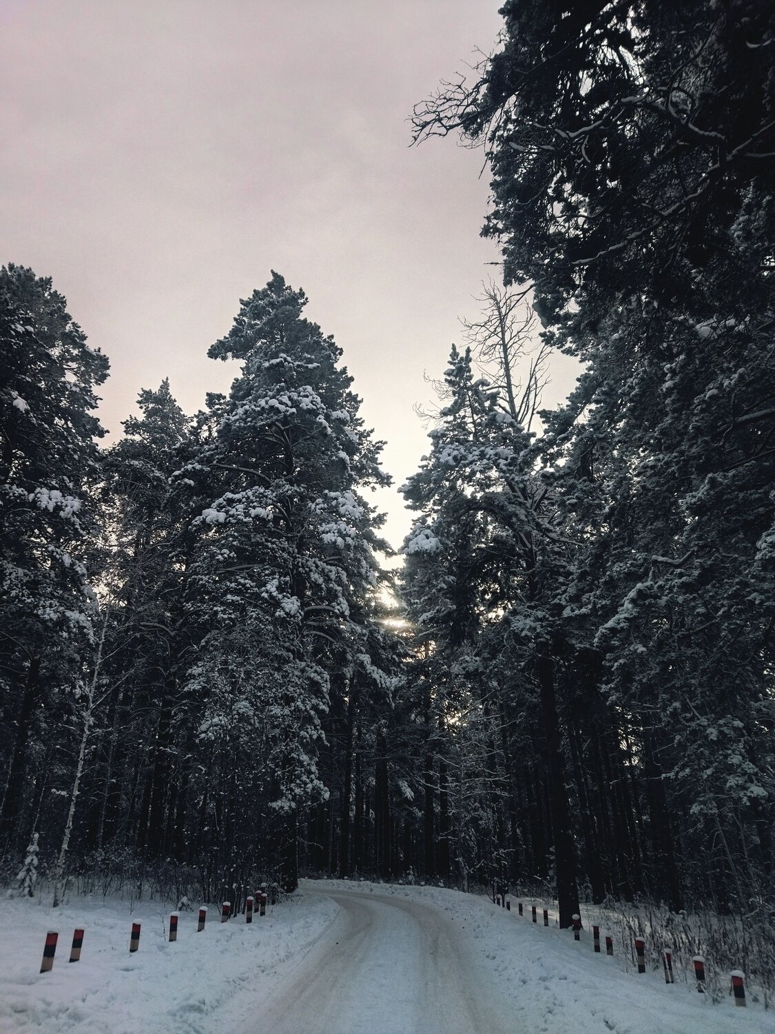 Photo #8666133