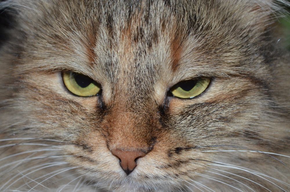 Photograph by Юрий Курынов