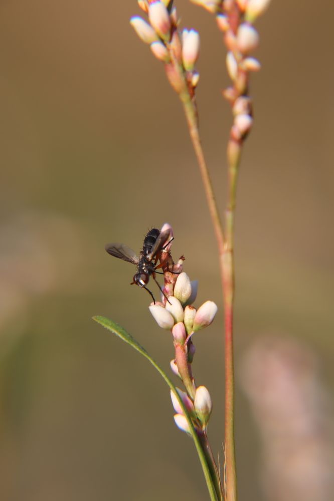 Фотография автора Olga Lavrenchuk