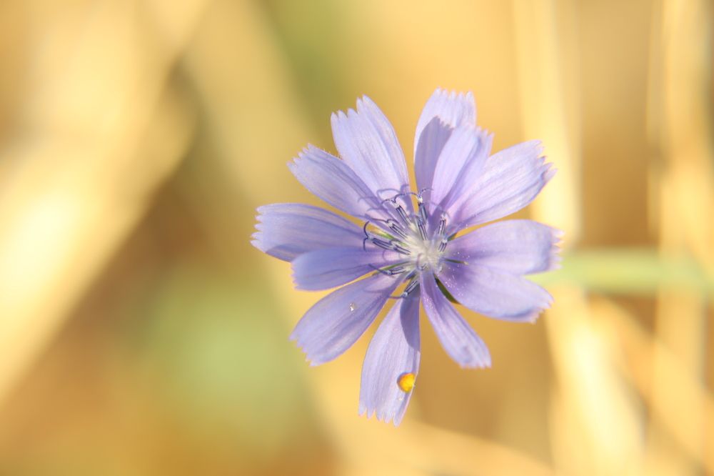 Фотография автора Olga Lavrenchuk