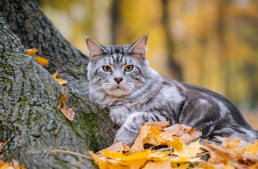 Photograph by Мария Новоселецкая