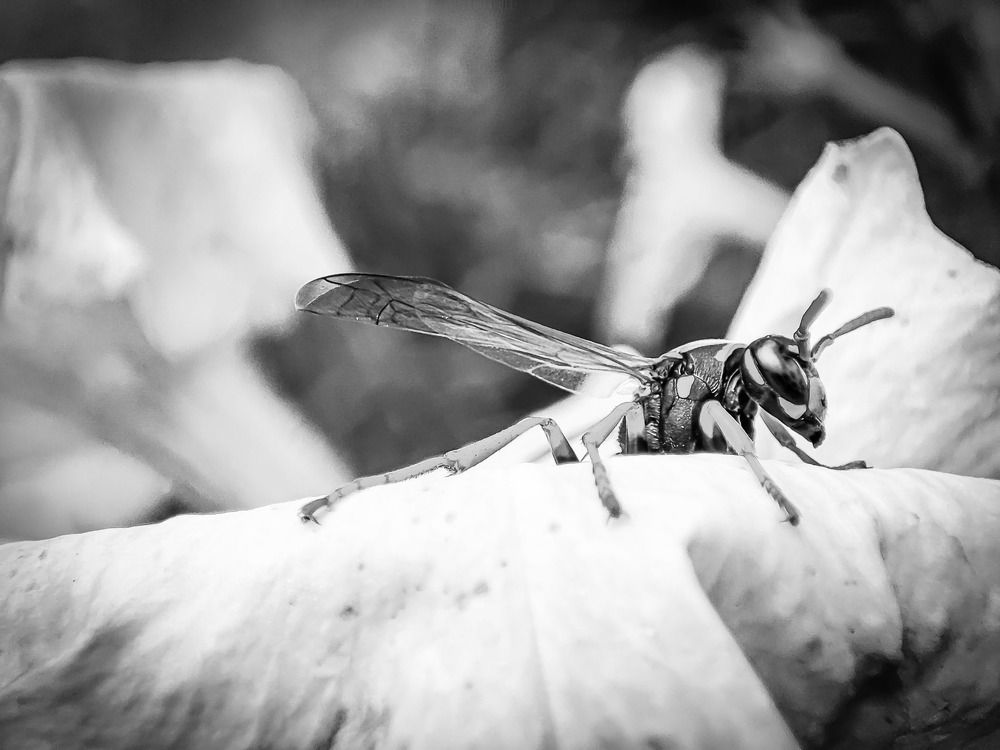 Photograph by Николай Яковлев