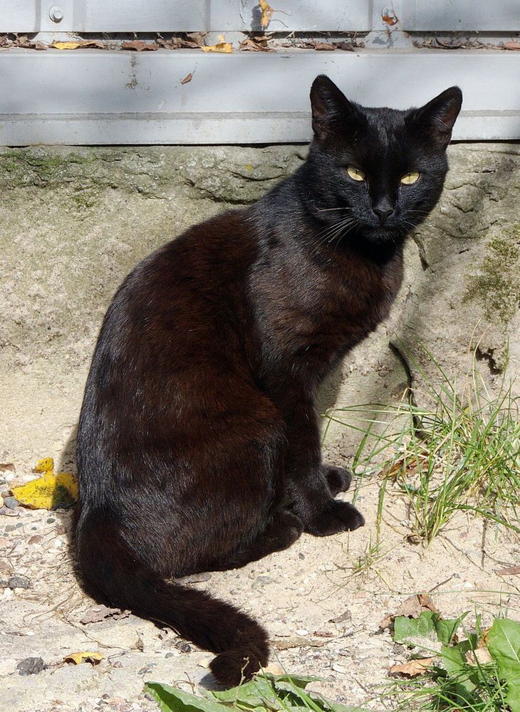 Photograph by Игорь Меньшенин