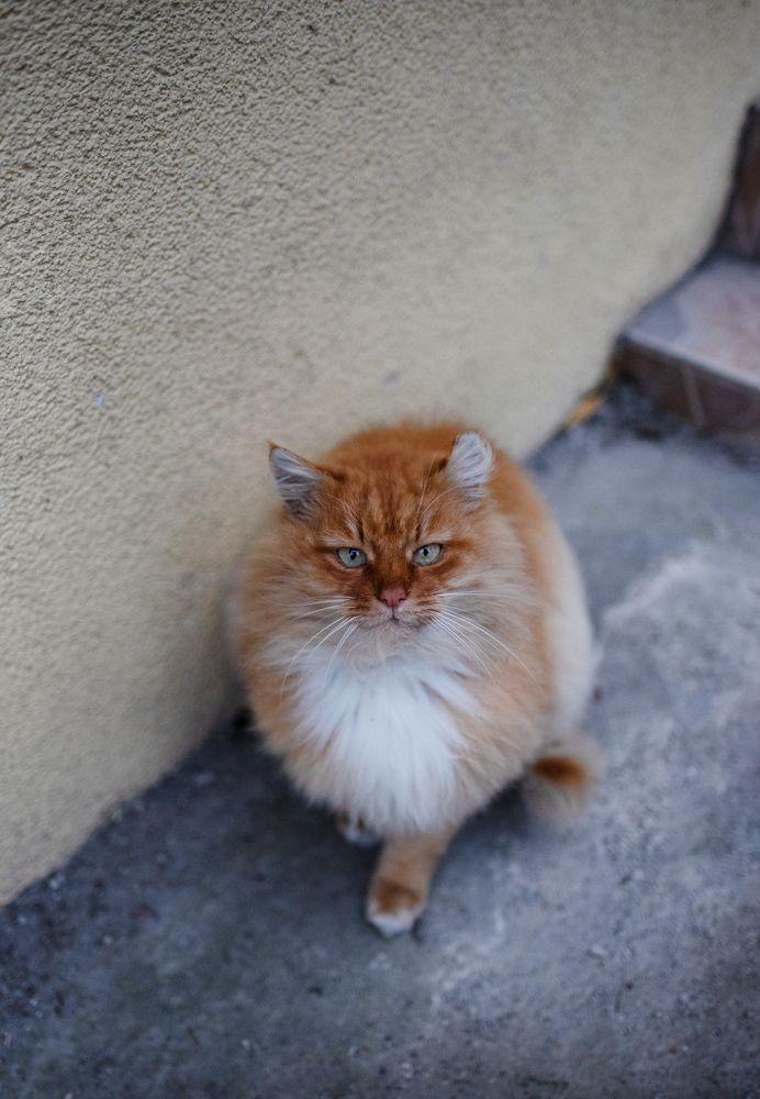 Photograph by Анна Новосельцева