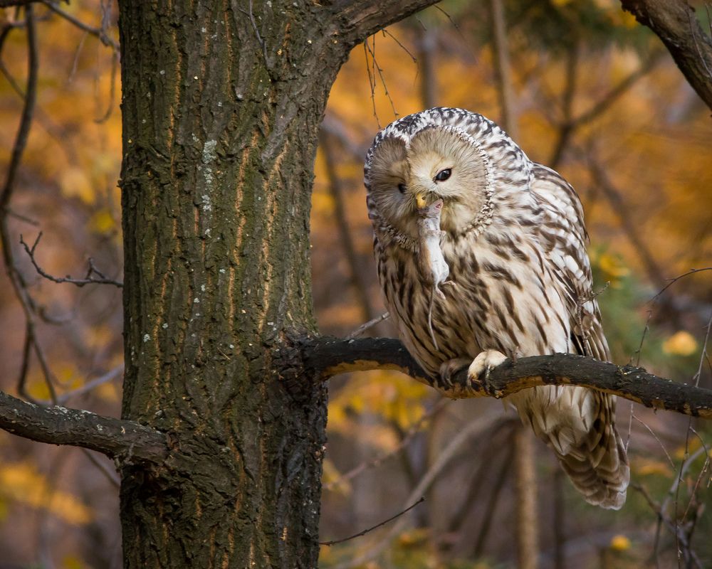 Фотография автора Суслов Дмитрий