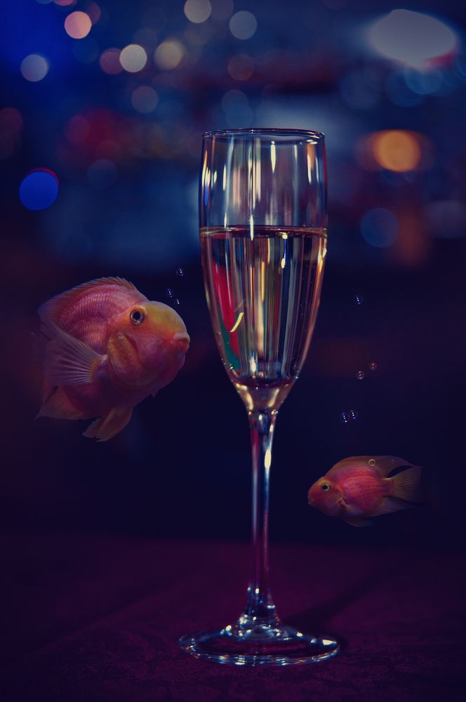 Photograph by Елена Майфет