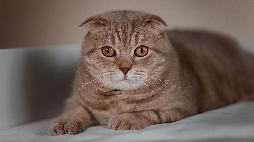 Photograph by Алексей Чернов