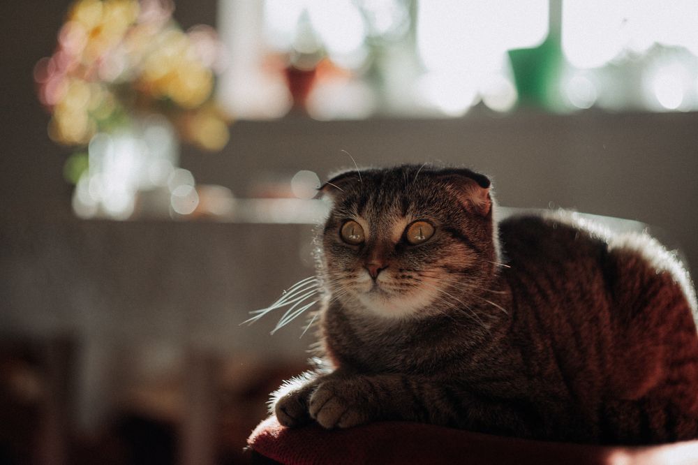 Photograph by Евгения Юдина