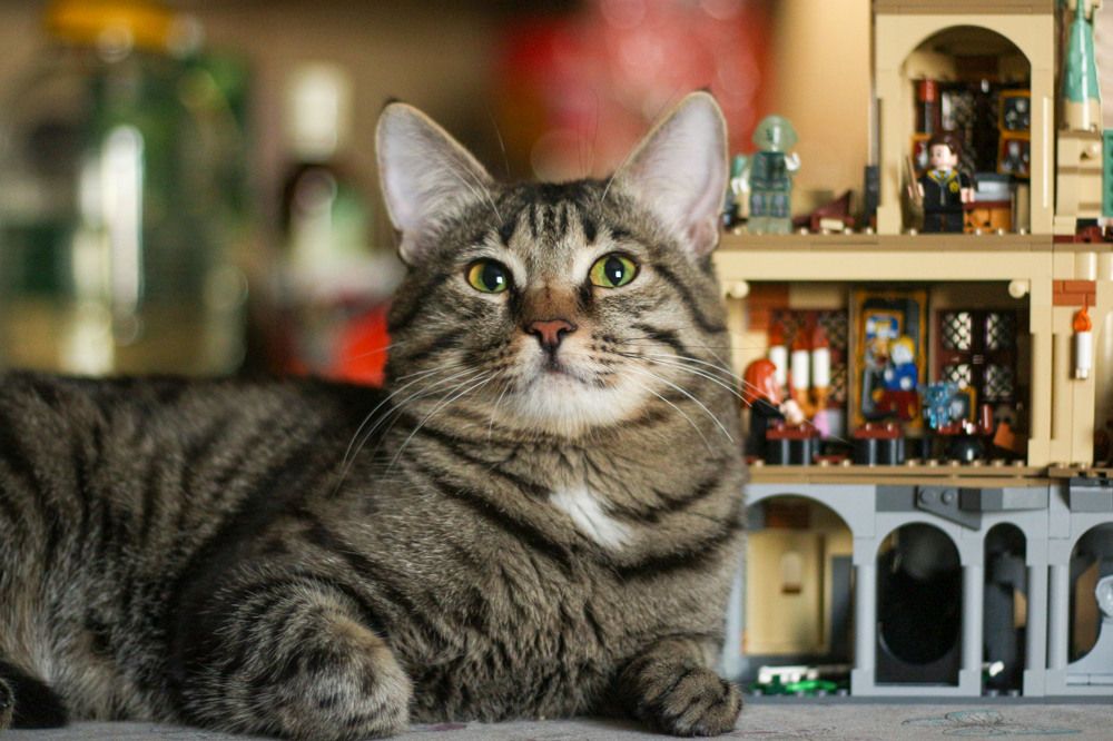 Photograph by Мария Степанова