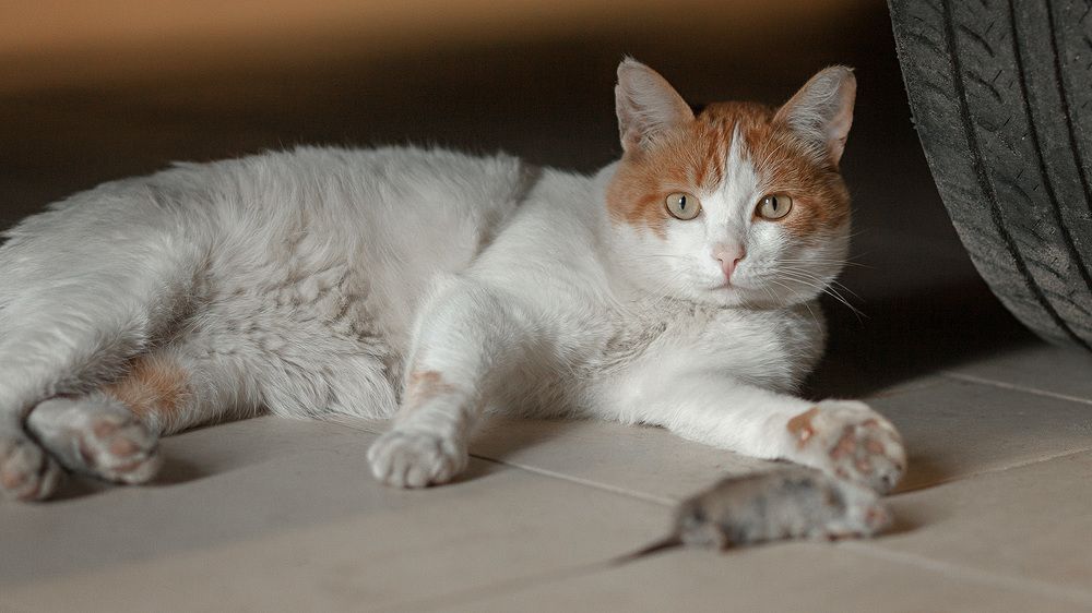 Photograph by Алексей Чернов