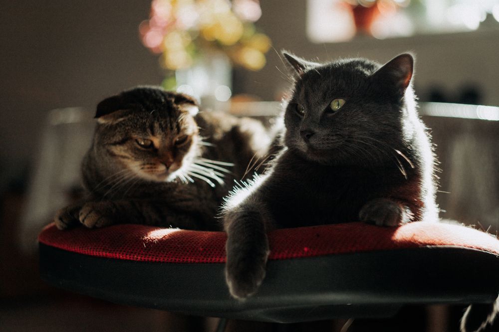 Photograph by Евгения Юдина