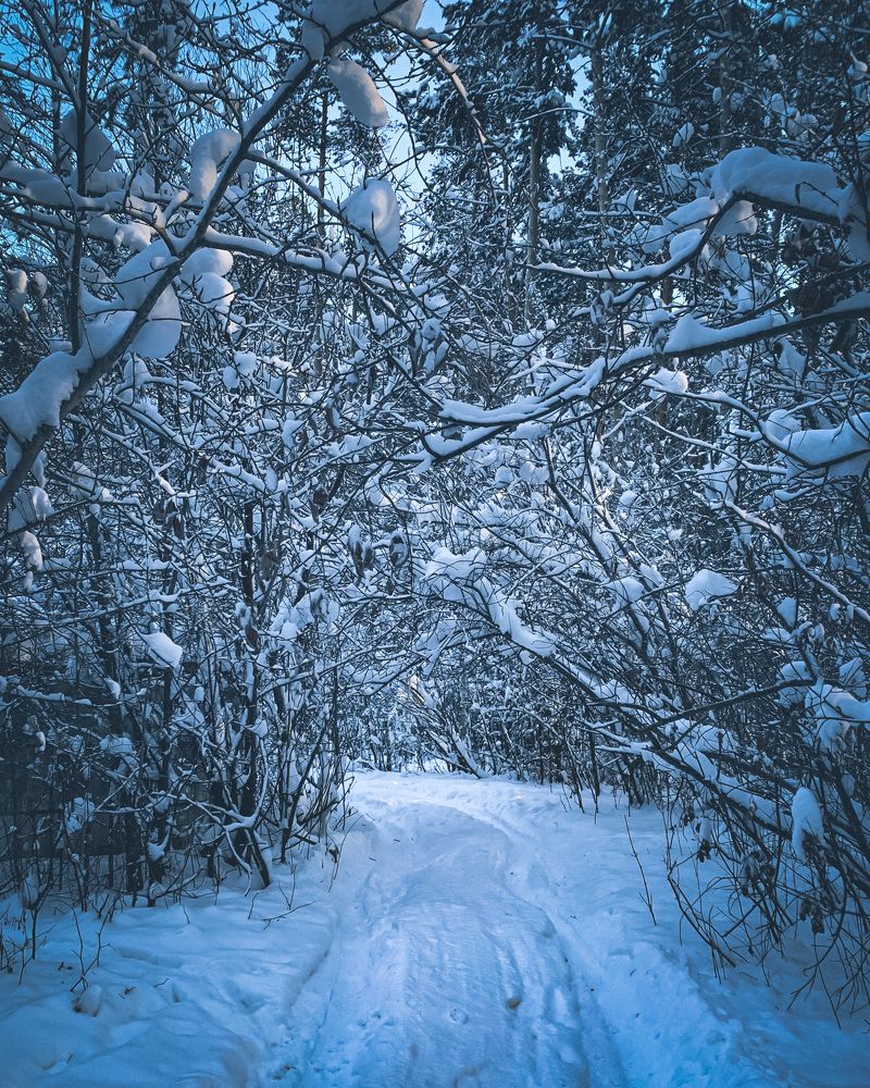 Photograph by Мария Смирнова