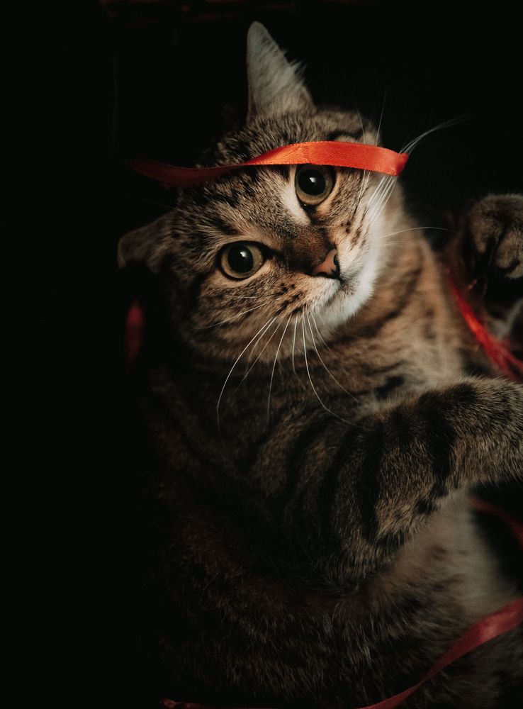 Photograph by Елена Лучшева