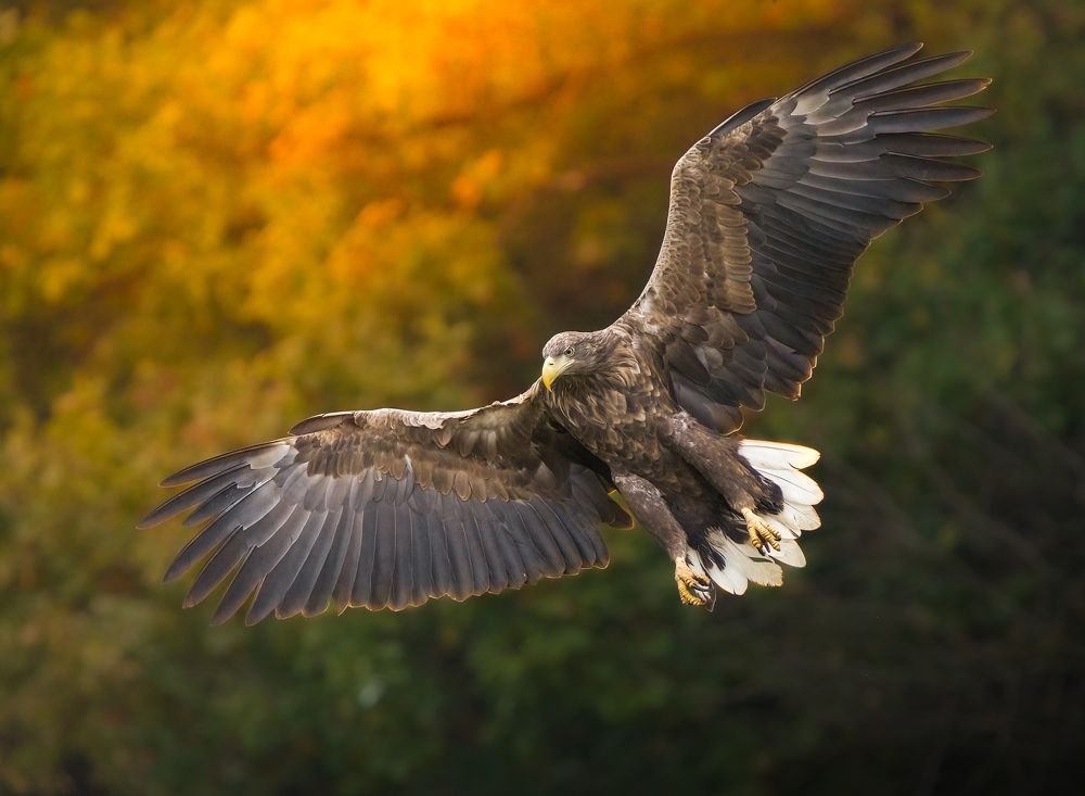 Photograph by Wojciech Sobiesiak