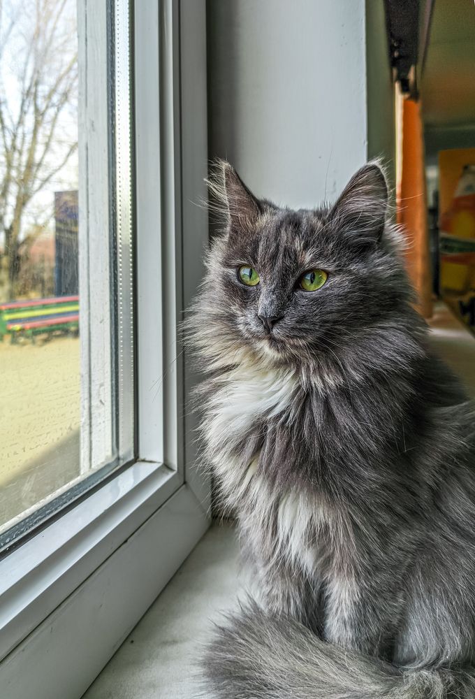 Photograph by Константин Панькин